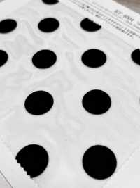 KF4004-D2559 Cremefarbener Organza-Flock[Textilien / Stoffe] Uni Textile (Komon Kobo) Weitere Fotos