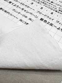 KINANADAKI-11 KINANADAKI 11 Entzückliches Komi-chan Kinaga Ni Ikou Finish[Textilgewebe] Komatsuwa Textile Weitere Fotos