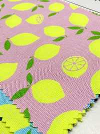 AP65103 Oxford Mit Fluoreszierendem Druck (Rolle)[Textil / Stoff] COSMO TEXTILE Weitere Fotos