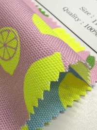 AP65103 Oxford Mit Fluoreszierendem Druck (Rolle)[Textil / Stoff] COSMO TEXTILE Weitere Fotos