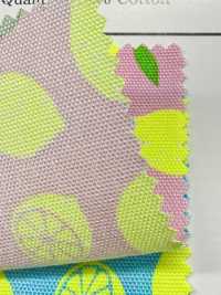 AP65103 Oxford Mit Fluoreszierendem Druck (Rolle)[Textil / Stoff] COSMO TEXTILE Weitere Fotos