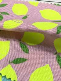 AP65103 Oxford Mit Fluoreszierendem Druck (Rolle)[Textil / Stoff] COSMO TEXTILE Weitere Fotos