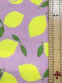 AP65103 Oxford Mit Fluoreszierendem Druck (Rolle)[Textil / Stoff] COSMO TEXTILE Weitere Fotos