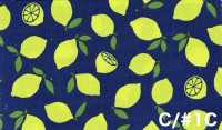 AP65103 Oxford Mit Fluoreszierendem Druck (Rolle)[Textil / Stoff] COSMO TEXTILE Weitere Fotos