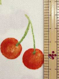SP2650 Fruits Garden Oxford (Rolle)[Textilien / Stoffe] COSMO TEXTILE Weitere Fotos