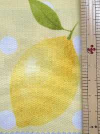 SP2650 Fruits Garden Oxford (Rolle)[Textilien / Stoffe] COSMO TEXTILE Weitere Fotos
