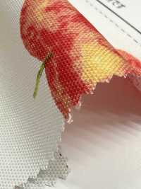 SP2650 Fruits Garden Oxford (Rolle)[Textilien / Stoffe] COSMO TEXTILE Weitere Fotos