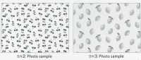 SP2650 Fruits Garden Oxford (Rolle)[Textilien / Stoffe] COSMO TEXTILE Weitere Fotos