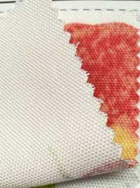 SP2650 Fruits Garden Oxford (Rolle)[Textilien / Stoffe] COSMO TEXTILE Weitere Fotos