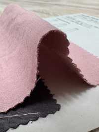 PSW3950 Baumwoll-Leinen 30/1 Doppelgewebe[Textil / Stoff] KOYAMA Weitere Fotos