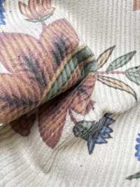 5024-1380-1 8W-Cord Breitware botanisch[Textilien / Stoffe] HOKKOH Weitere Fotos