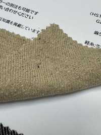 RN8026 GINGA Leinen-Twill[Textilien / Stoffe] KOYAMA Weitere Fotos