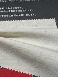 FJ430000 HIYORI Baumwoll-/Leinen-Typewriter-Stoff Hamakaze-Webart[Textilien / Stoffe] Fujisaki Textile Weitere Fotos