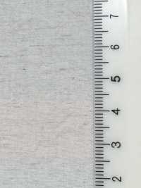 FJ430000 HIYORI Baumwoll-/Leinen-Typewriter-Stoff Hamakaze-Webart[Textilien / Stoffe] Fujisaki Textile Weitere Fotos