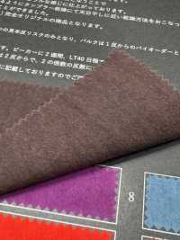 FJ430030 HIYORI Baumwolle 80/Typewriter Hamakaze-Gewebe[Textilien / Stoffe] Fujisaki Textile Weitere Fotos