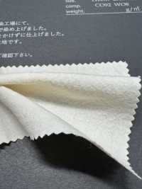 FJ3031 HIYORI Baumwoll-Woll-Popeline[Textilien / Stoffe] Fujisaki Textile Weitere Fotos