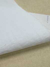 BD6940-P 60 Supima-Baumwolle x Nylon Typewriter Omi PFD[Textilien / Stoffe] COSMO TEXTILE Weitere Fotos