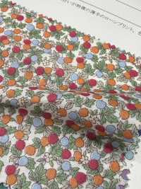 28128 60s Einzelfaden-Lawn mit kleinem Blumenprint[Textilien / Stoffe] SUNWELL Weitere Fotos