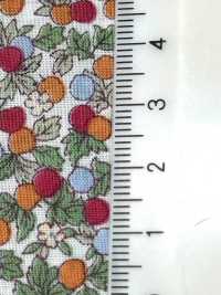 28128 60s Einzelfaden-Lawn mit kleinem Blumenprint[Textilien / Stoffe] SUNWELL Weitere Fotos