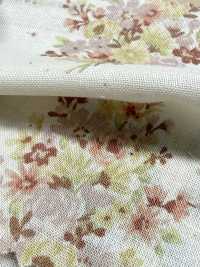 850622 Batist aus ungebleichter Baumwolle Rurudi Roman Floral Harmony[Textilien / Stoffe] VANCET Weitere Fotos