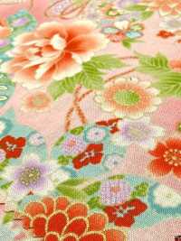 850628 Batist, florales Goldmuster im japanischen Stil, Pfingstrose, Chrysantheme, Stockrose und Trommel[Textilien / Stoffe] VANCET Weitere Fotos