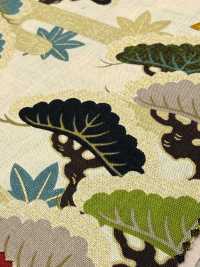 850630 Batist mit floralem goldenen japanischen Muster, aufsteigende Kiefer[Textilien / Stoffe] VANCET Weitere Fotos