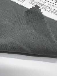 ORF72485 Hochverzwirntes Garn × Leinen, knackiger Baumwoll-Leinen-Gabardine[Textilien / Stoffe] Oharayaseni Weitere Fotos
