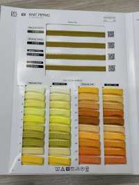 P-001 Paspelband Stricken[Bandbandschnur] SHINDO(SIC) Sub-Foto