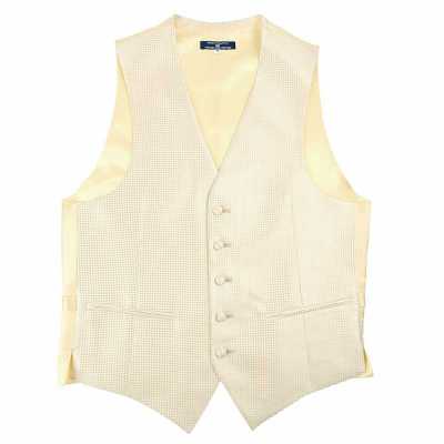 VANNERS-V-011 VANNERS formelle Weste Hahnentritt Champagnergold