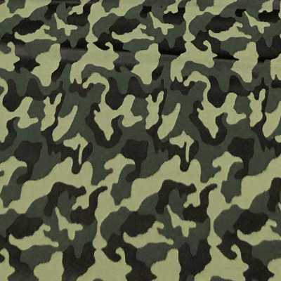 PTS-2 Pentagono(Pentagono (Seidenstoff Tarnmuster [Outlet]