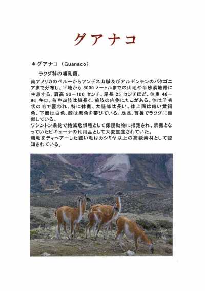 1676 Fukaki-Gewebe, Hergestellt In Japan, Guanako-Mischgewebe Aus Kaschmir[Textil] FUKAKI Unterfoto