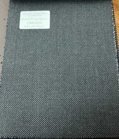 CNB1019 CANONICO Classic Super 110's PERENNIAL Birdseye Dunkelgrau