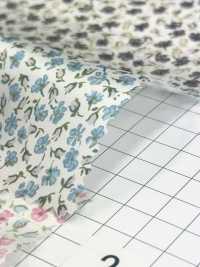 LP-8 Kensington Rose Cupra Liberty Print-Futter[Beschichtung] L-top(LOISIR) Sub-Foto