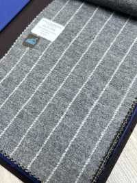 55CN5508 CANONICO JERSEY WORSTED FLANNEL Hellgrau Kreidestreifen[Textil] CANONICO Sub-Foto