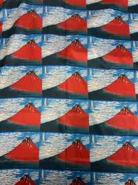 TPS3002 Katsushika Hokusai-Druckfutter, Wiederholungsmuster[Beschichtung] Sub-Foto