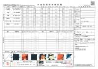 TPT1004 Futter Mit Iwami-Kagura-Print, Wiederholungsmuster[Beschichtung] Sub-Foto