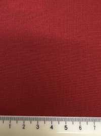 56461-99 26SS BESTE AUSWAHL [Alle Geschlechter] Alle Geschlechter[Textil] Kunishima Co., Ltd. Unterfoto