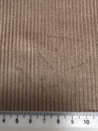 CD5501-BE Standard-Japanischer 8W-Corduroy Ohne Muster, Beige[Textil] Weitere Fotos