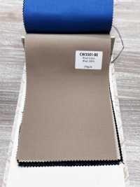 CW3501-BE Standard-Farbkollektion für heimische Wolle Beige[Textil] HOSOI SYOJI Weitere Fotos