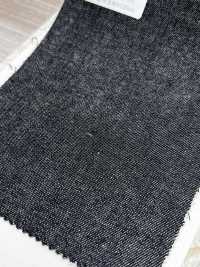 GPN-2 Schwarzer Denim[Textil] HOSOI SYOJI Weitere Fotos