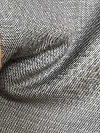 LV5198 LANVIN COLLECTION Hellgrau x Beige horizontale Streifen[Textil] HOSOI SYOJI Weitere Fotos