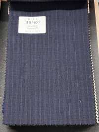 RD5657 REDA Marineblauer Streifen[Textil] HOSOI SYOJI Weitere Fotos
