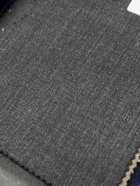 TG6522 T.G Di FABIO Grau einfarbig[Textil] HOSOI SYOJI Weitere Fotos