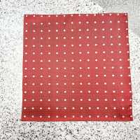 CF-600 100% Heimische Seide Einstecktuch Punktmuster Rot[Formelle Accessoires] Yamamoto(EXCY) Sub-Foto