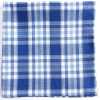 RCF-02 Hergestellt In England, Ringhart-Textil, Verwendetes Kariertes Blaues Einstecktuch
